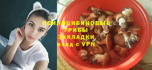 бутират Алексеевка
