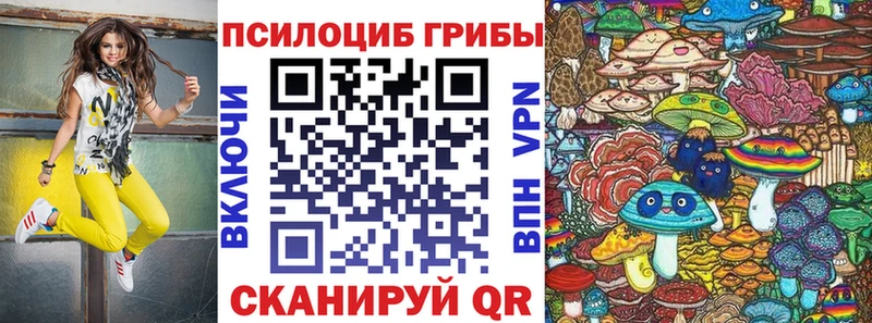 Галлюциногенные грибы GOLDEN TEACHER  KRAKEN вход  Тамбов 