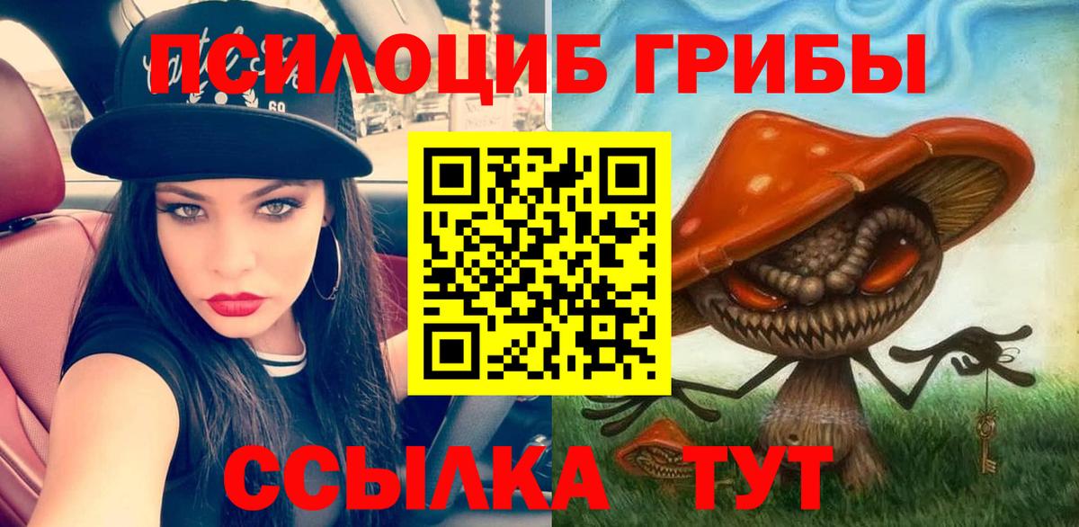 Тамбов  Псилоцибиновые грибы мухоморы  Вход с VPN 